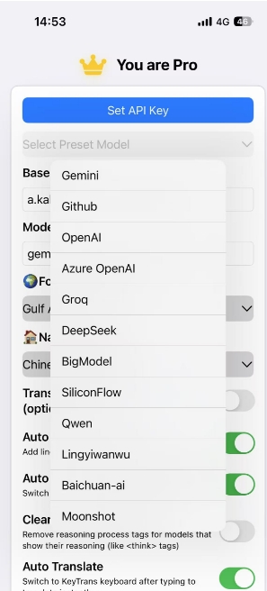 Model Selection and API Configuration